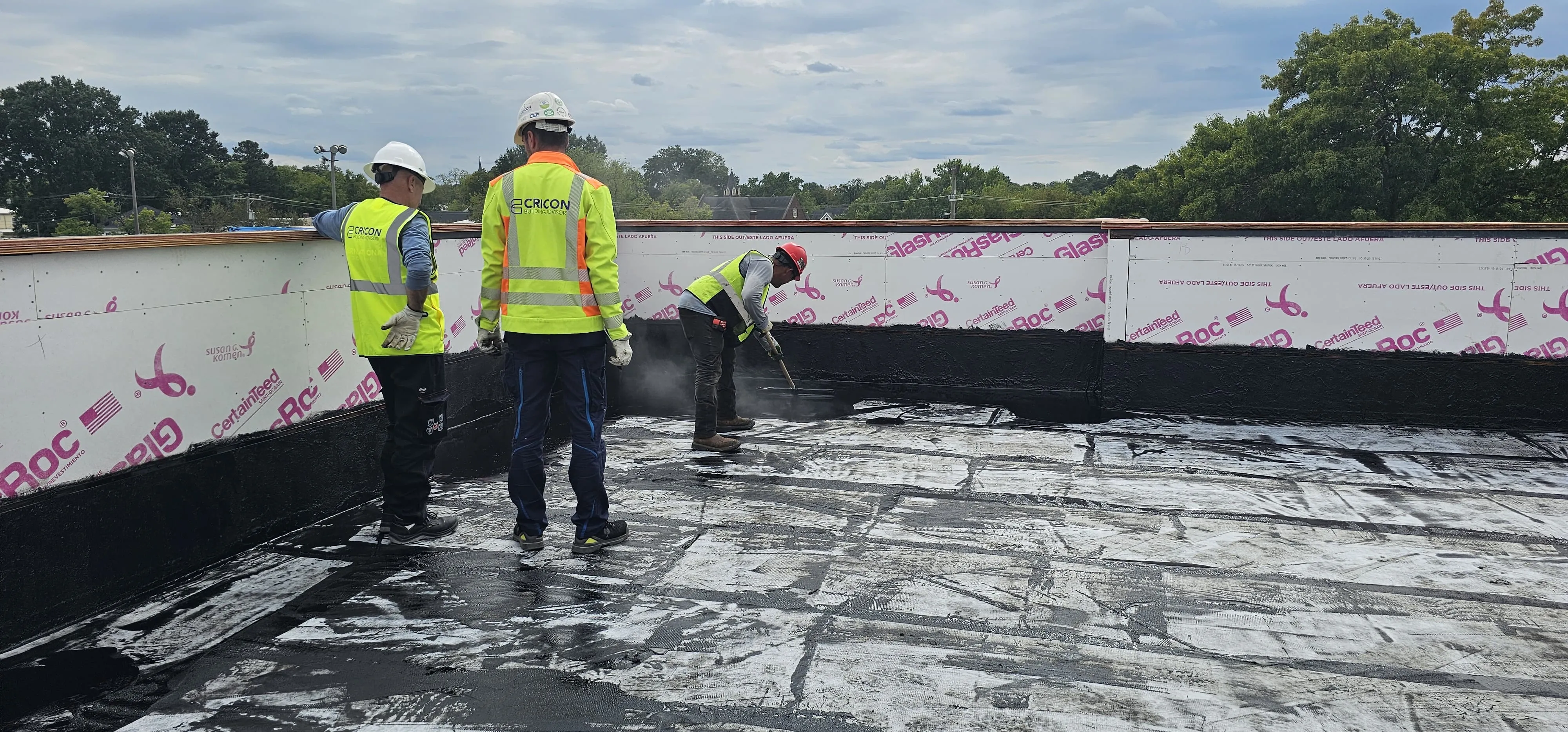 Lucrări profesionale de acoperișuri și structuri metalice